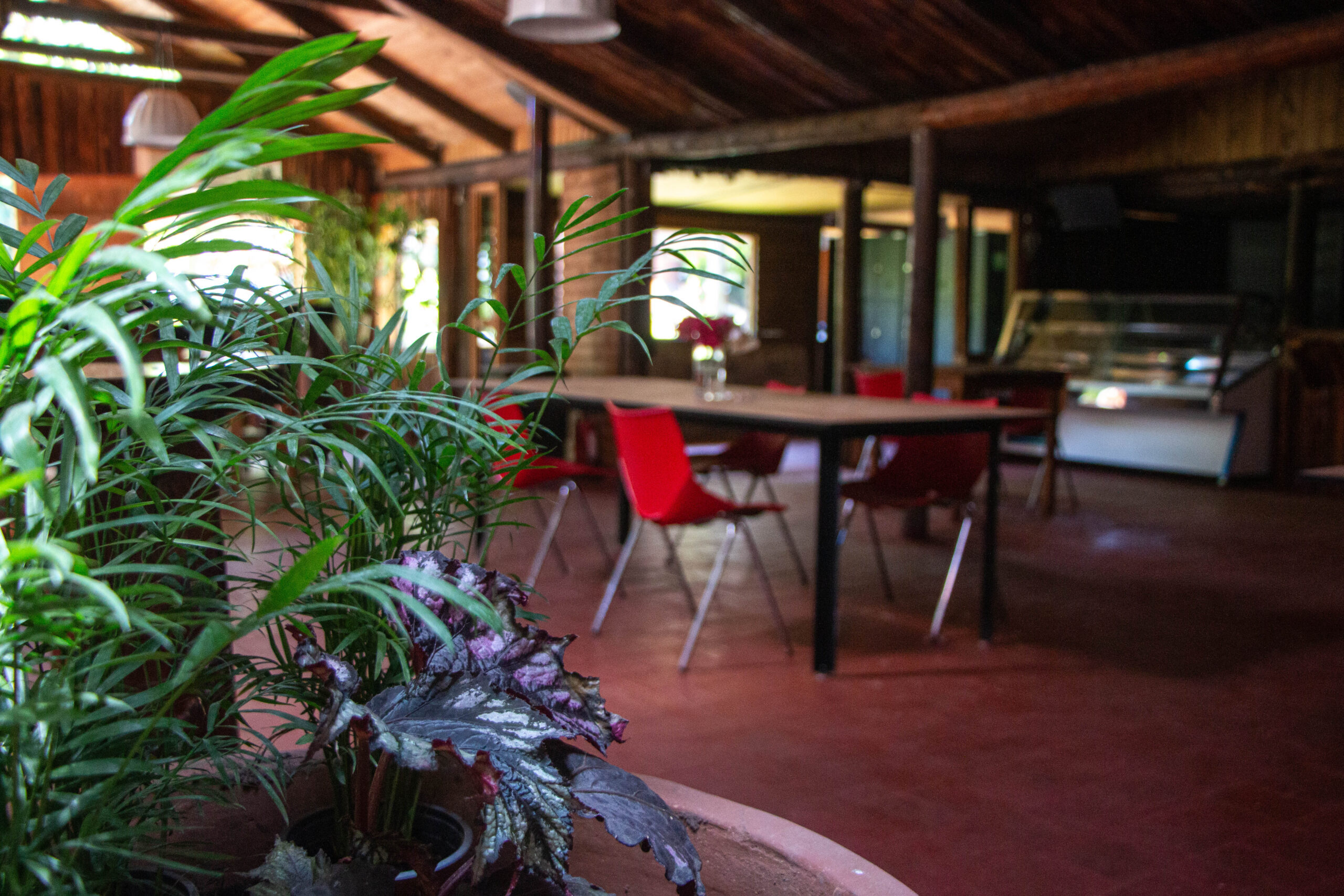 Espacio de cafetería y terraza del Agrocowork